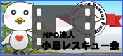 NPO法人小鳥レスキュー会　紹介動画はこちら！