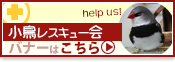 小鳥レスキューバナーはこちら