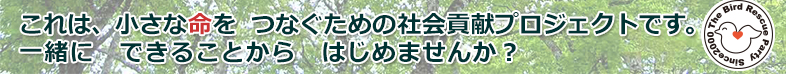 これは、小さな命をつなぐための社会貢献プログラムです。一緒にできることからはじめませんか？