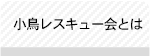 小鳥レスキュー会とは