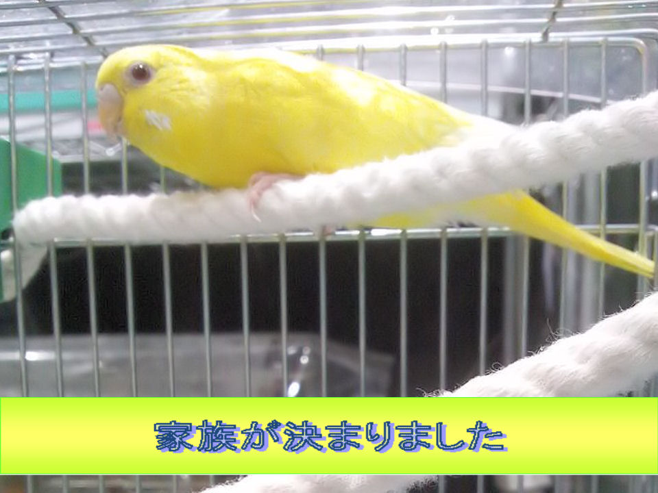 詳細ページへ